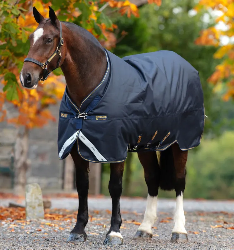 Couverture Horseware Amigo Bravo 12 XL 250g 1200D - 140 cm - Marine / marine / or Acheter Direct