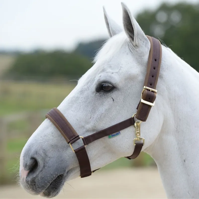 Prix Cass Licol Bucas comfort - Cheval - Marron / marron