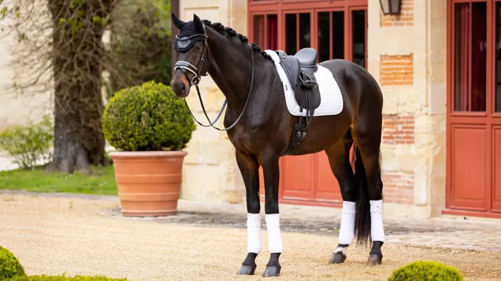 Tapis Amortisseur LeMieux Merino+ Lined Suede Dressage Square - M - Blanc / blanc Retour Gratuit