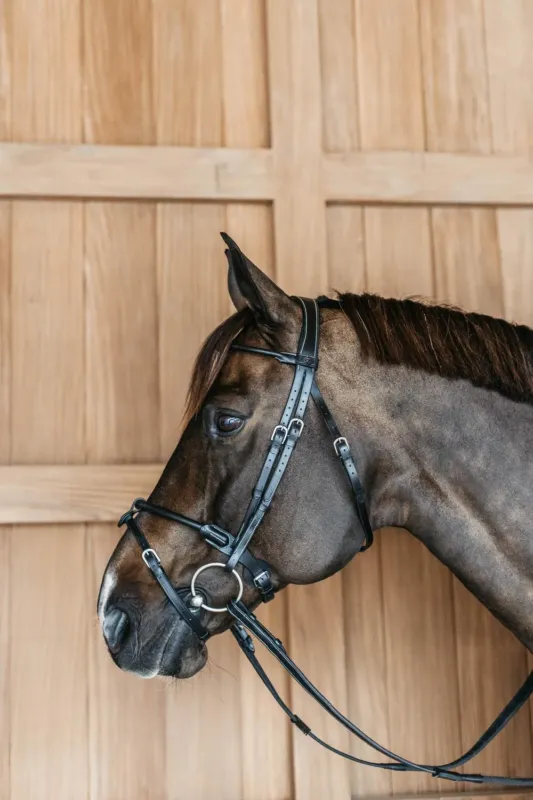 Bridon cuir rond Working By Dy'on - Cheval - Noir Pas Cher
