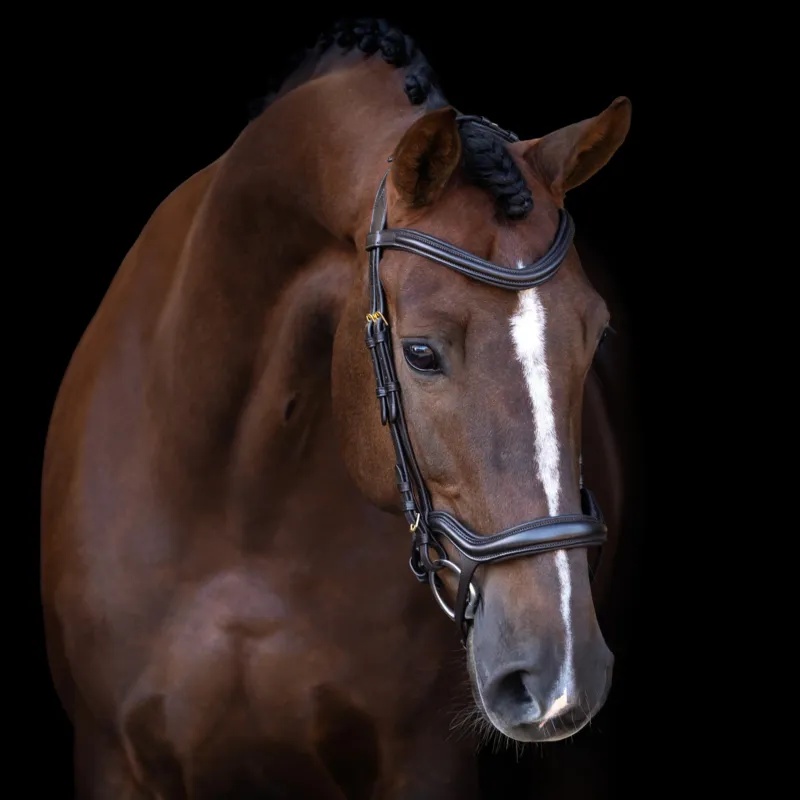 Achetez Aujourdhui Bridon Imperial Riding avec muserolle combine ergonomique basse – Poney – Marron