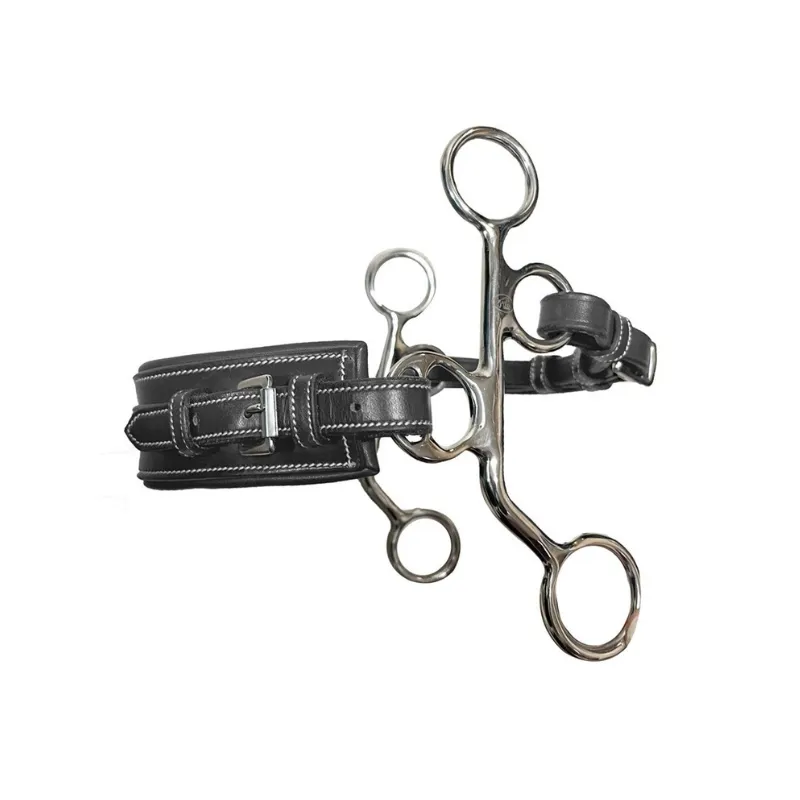 Super Prix JUMPIN - Hackamore cuir branches courtes rectangle - Cheval - Noir