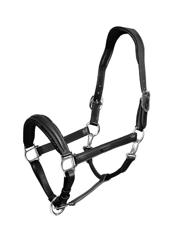 Meilleur Choix Anatomic Glimmer Leather cabezada de cuadra Equestrian Stockholm Glimmer Anatomic Leather - Pony / Black Edition