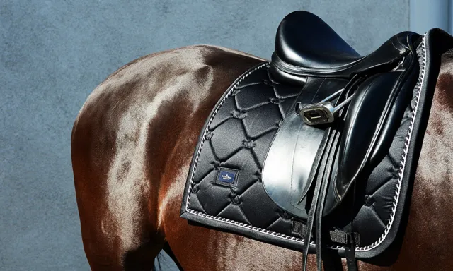 Nouvelle Collection Tapis de selle Black Edition - Equestrian Stockholm - Noir - Mixte - Poney