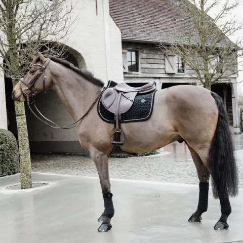 Tapis de selle Velvet Basic NOIR – Kentucky – Noir – Mixte – Cheval Populaire