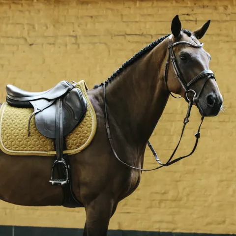 Tapis Velvet MOUTARDE – Kentucky – Moutarde – Mixte – Cheval Vente Directe