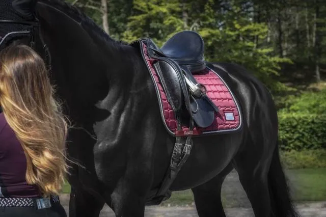 Bon March Tapis de selle EQUITO - Black Cherry - Bordeaux - Mixte - Cheval