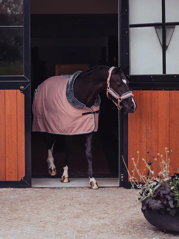 Manta para caballo Equestrian Stockholm Fleece manta Fur Pink - 155 / Pink Meilleure Vente