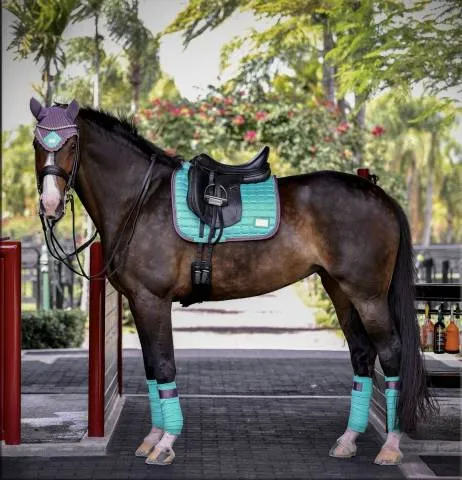 Bon Plan Tapis Frosty Mint - Equito - Turquoise - Dressage - Cob
