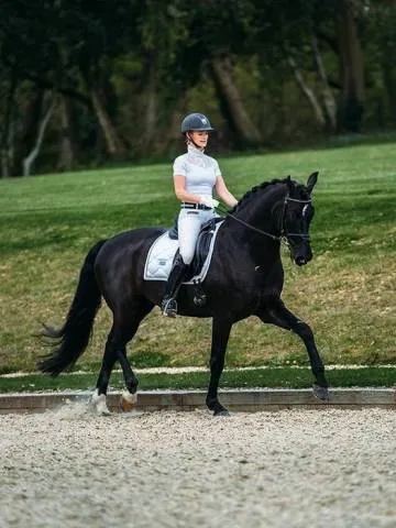 Tapis de selle White Perfection Silver - Equestrian Stockholm - Dressage - Cheval Bon Plan