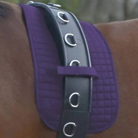 Livraison Express Tapis de Sellette - Noir - Cheval