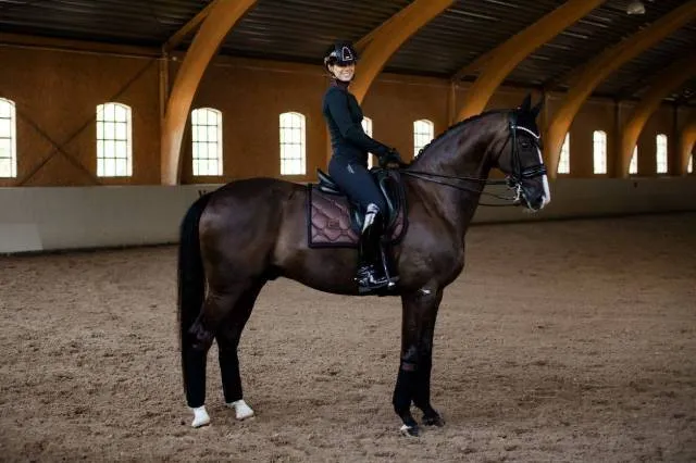 Tapis de selle Mahogany Glimmer - Equestrian Stockholm - Marron - Mixte - Poney Meilleur Prix