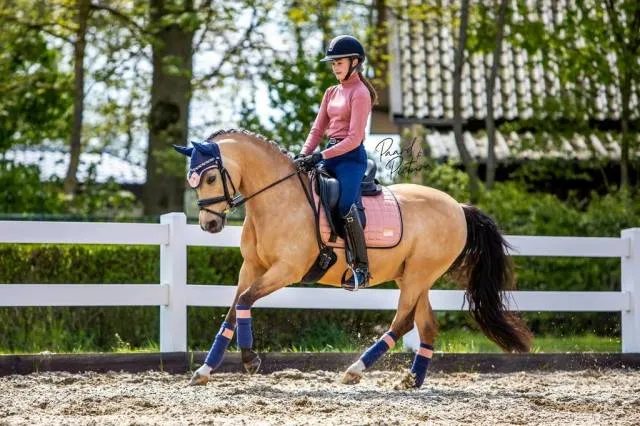 Tapis de selle Peony Pink - Equito - Mixte - Cheval Promotion Saisonnire