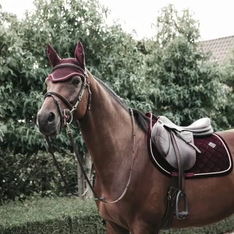 Solde Tapis de selle Corduroy DRESSAGE - Kentucky - Amorti optimal - Bordeaux - Dressage - Cheval