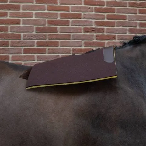 Petit Prix Tapis feutre double mousse de course - PETITPAS - Esthtique et solide - Marron