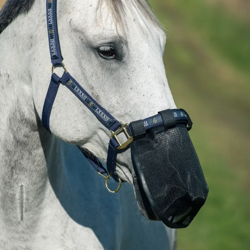 Acheter En Ligne Masque protge-naseaux anti-mouches Horze - Poney - Noir