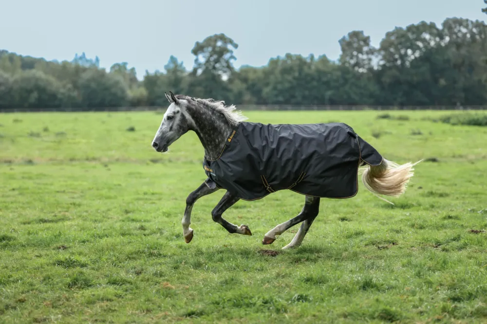 Livraison Gratuite Couverture Irish Turnout Bucas 100g 1200D - 125 cm - Noir / or
