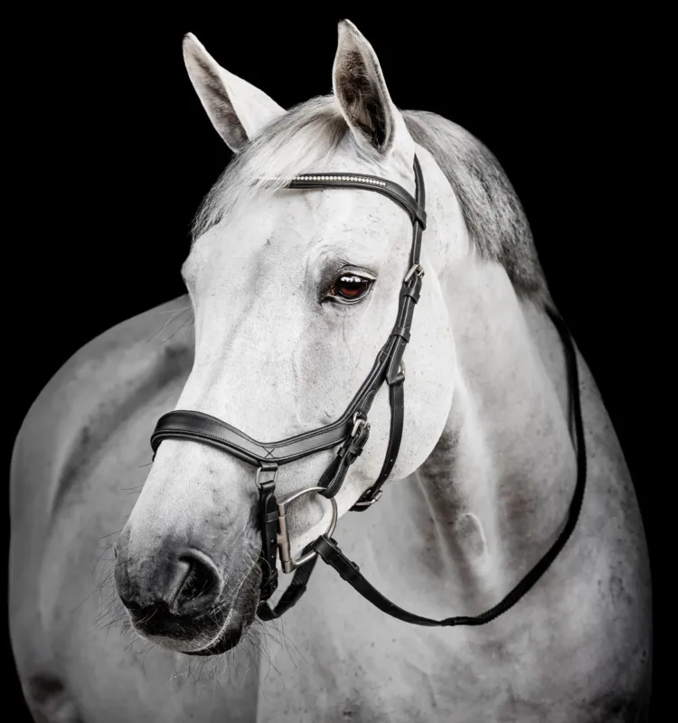 Bridon Horseware Micklem Diamante Competition - Poney - Noir Authentique