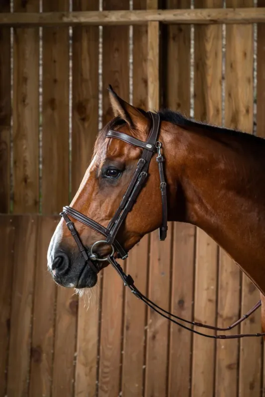 Offre Spciale Bridon Muserolle Combine Avec Mousqueton Dy'on Working - Cob - Marron