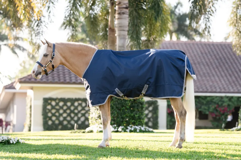 Produit De Marque Couverture Horseware Amigo 1200D Poney Turnout 0g - 125 cm - Marine / gris titane / argent