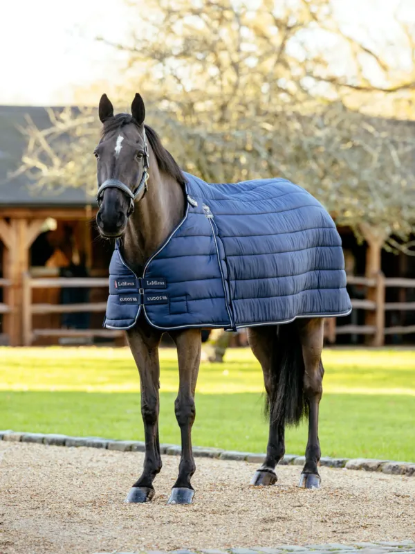Haute Qualit Sous-couverture 50g Kudos LeMieux - 145 cm - Marine