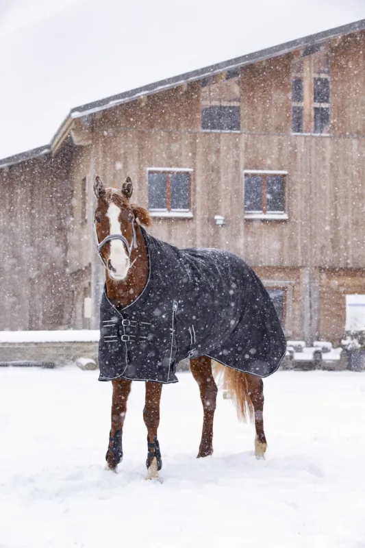 Couverture Riding World Oxford impermable double polaire 300D - 165 cm - Noir Nouvel Arrivage