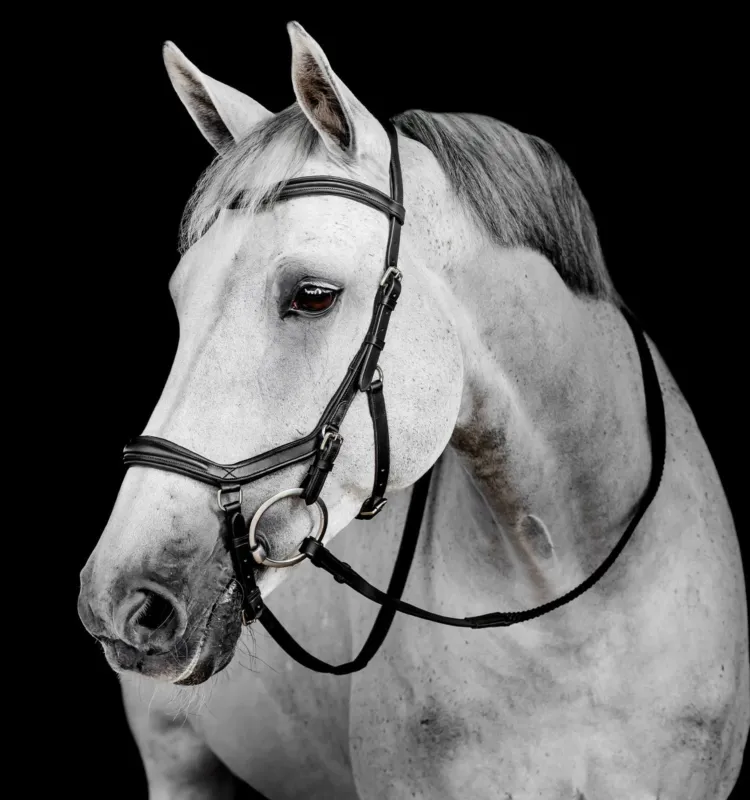 Bon March Bridon Horseware Micklem Deluxe Competition - Cob - Noir
