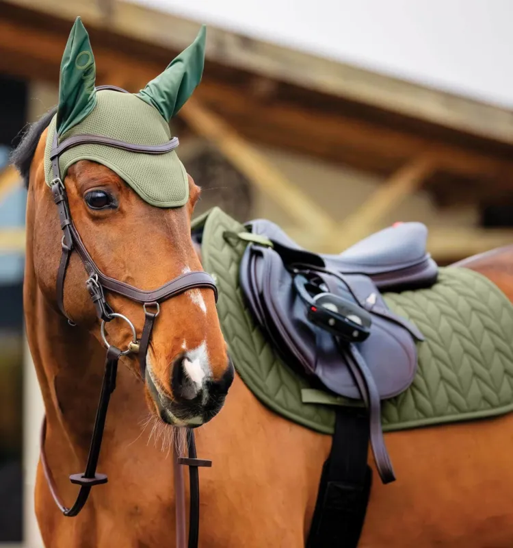 Bonnet anti-mouches Horseware Amigo Earnet - Cob / cheval - Bramble Rduction