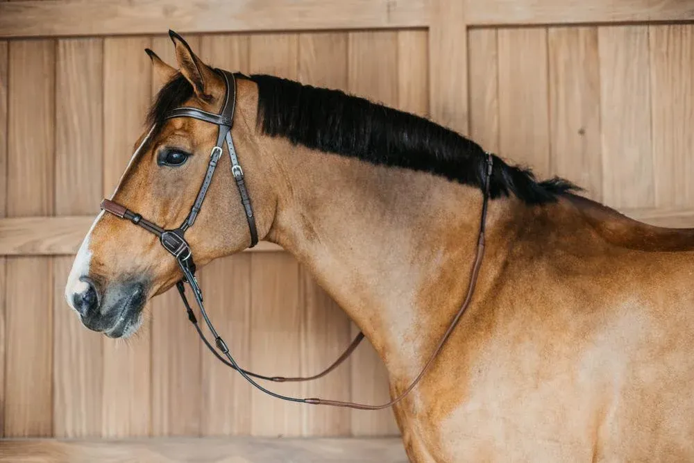Meilleur Prix Bridon sans mors Bitless Dy'on - Grand cheval - Marron