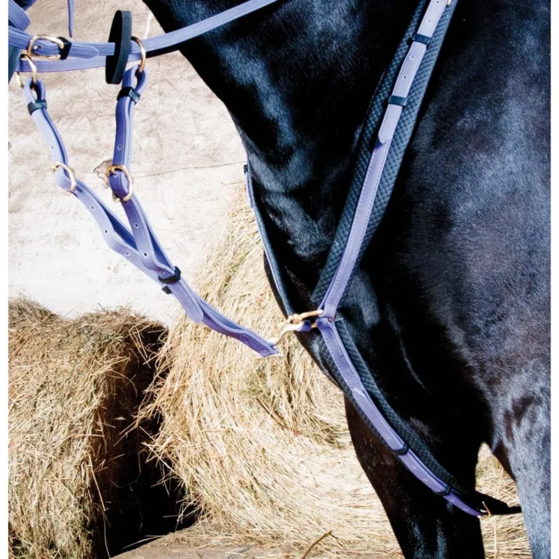 Collier de chasse Biotack T de T - Cheval - Violet Prix Rduit