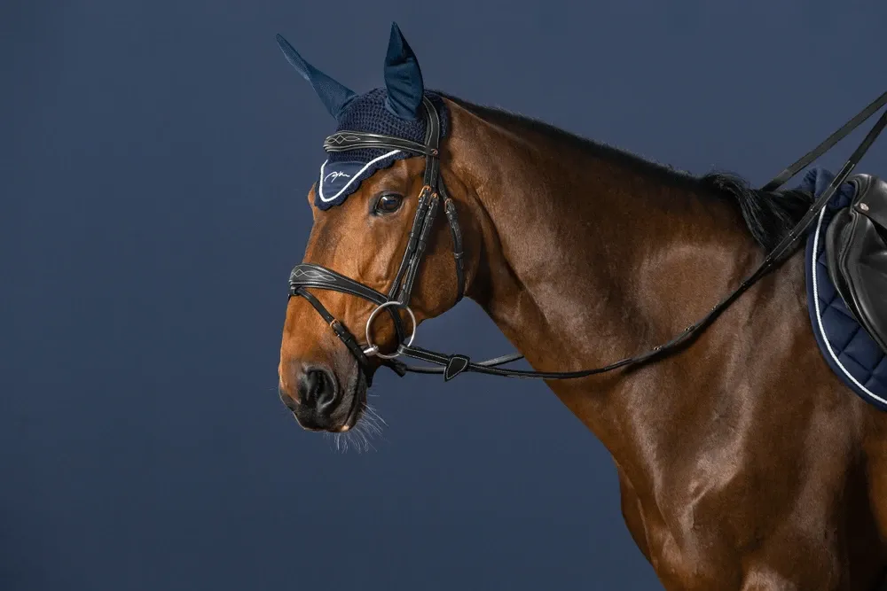 Must-Have Bridon Muserolle Combine Anatomique Dy'on D Collection - Grand cheval - Noir
