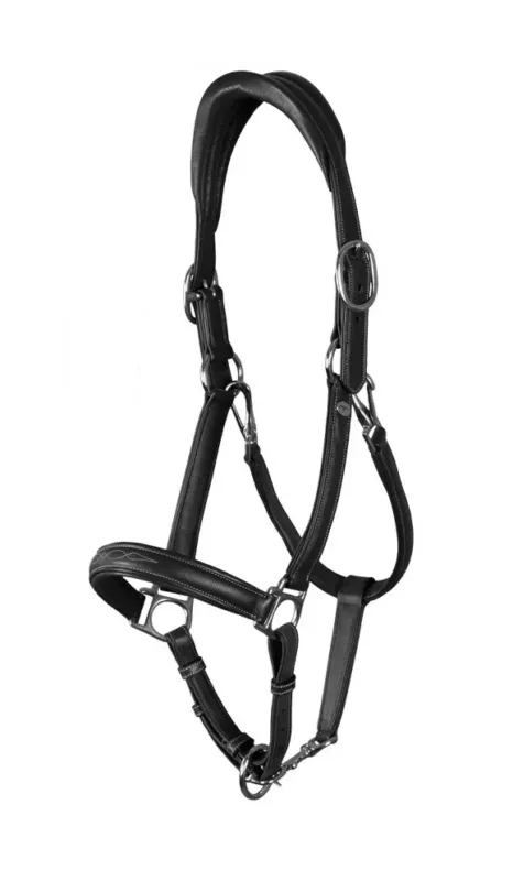 Offre Spciale Licol Cuir Extra Souple Working By Dy'on - Poney - Noir