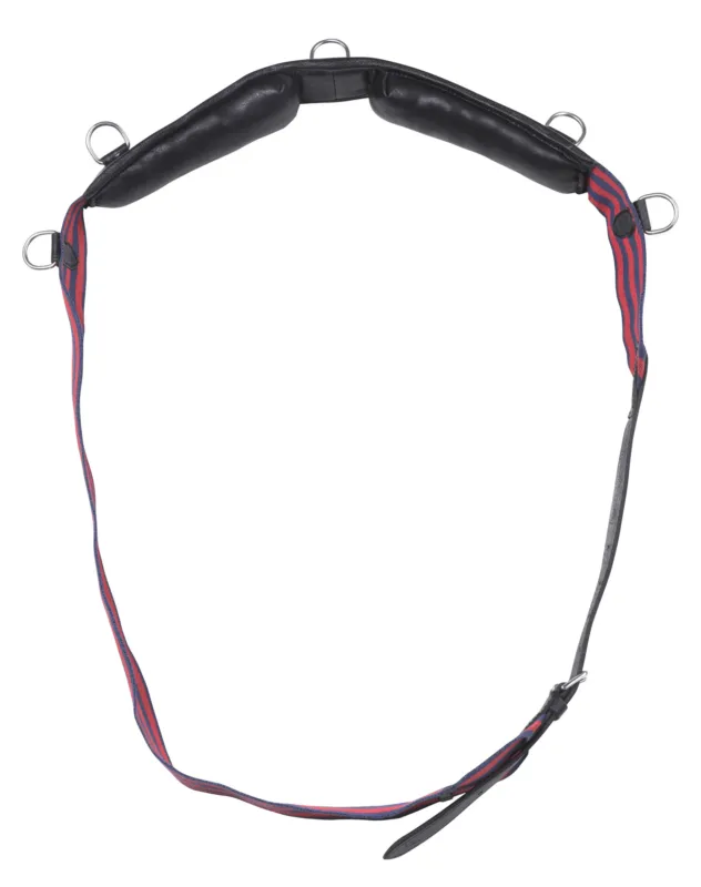Surfaix sangle Norton Club - Cheval Acheter En Ligne