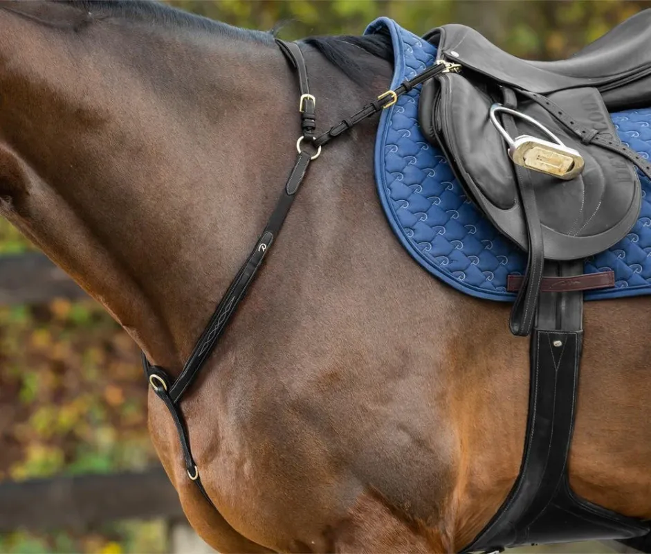 Collier De Chasse Pont Dy'on D Collection - Cheval - Noir Prix Bas