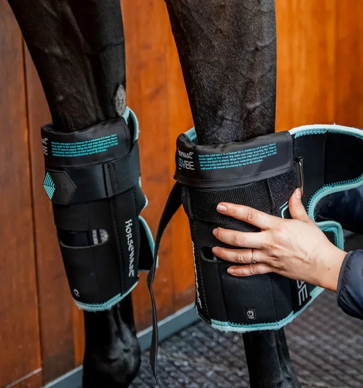 Protge-genoux Horseware Ice-Vibe - Cheval - Noir / aqua Haute Qualit