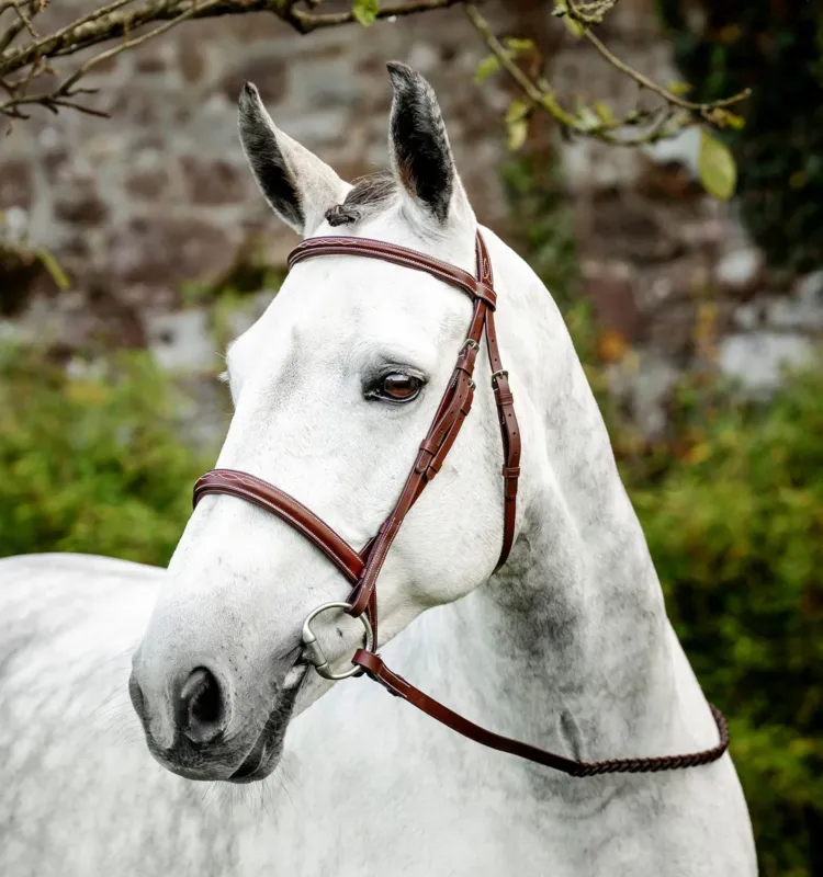 Nouvelle Collection Bridon Horseware Cavesson Hunter avec rnes - Grand cheval - Marron