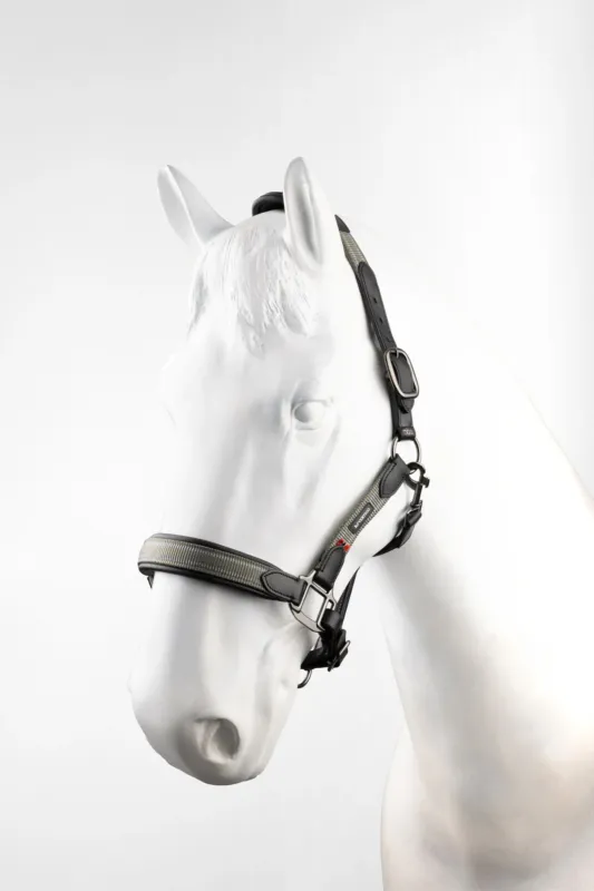 Petit Prix Licol en cuir B Vertigo Lennox - Poney - Vert scarab