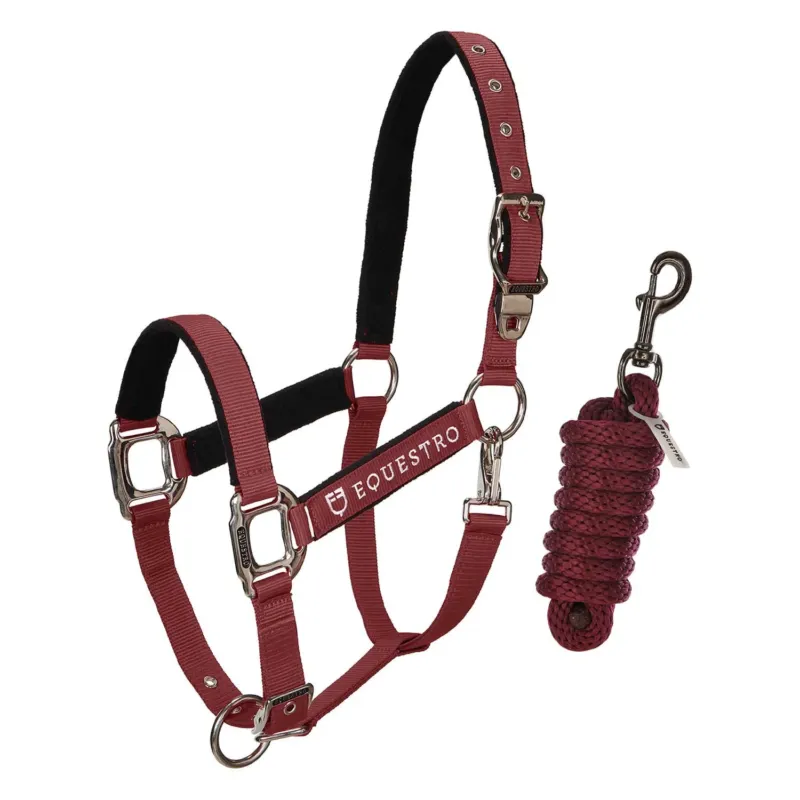 Solde Licol et longe Equestro - Cheval - Bordeaux