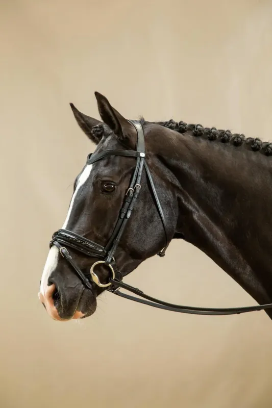 Bridon Muserolle Combine Large Vernie Working By Dy'on - Cob - Noir Must-Have