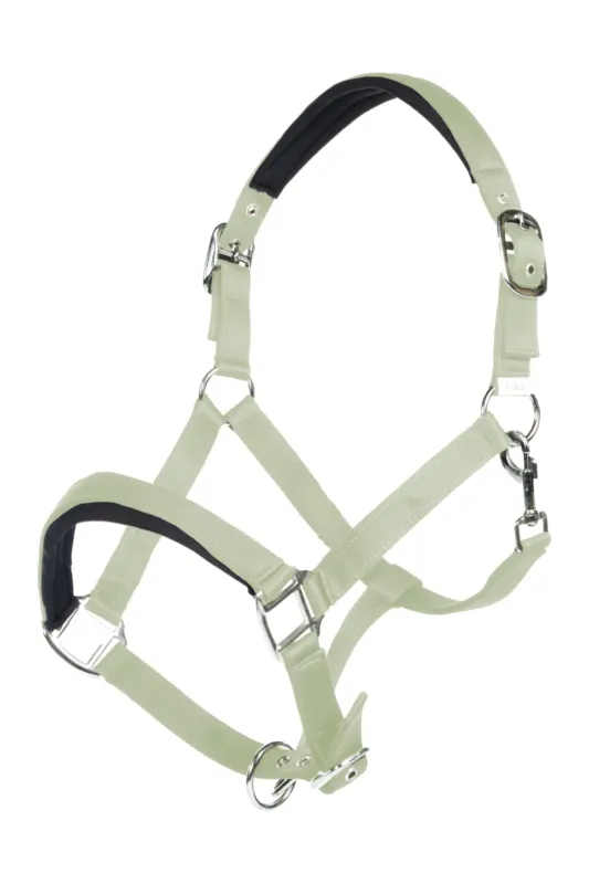 Licol Catherine HKM - Cob - Pistache Paiement Scuris