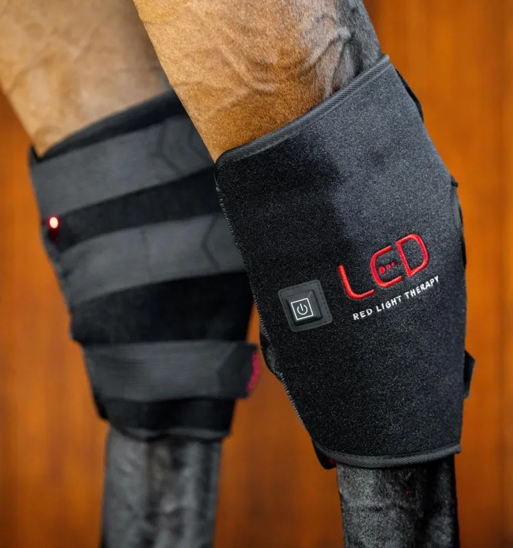 Expdition Rapide Protge-jarret de Thrapie Horseware par lumire rouge LED - Cheval gauche - Noir / noir