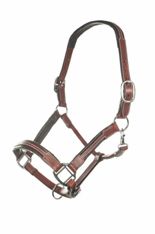 Promotion Saisonnire Licol en cuir HKM Soft - Cheval - Marron