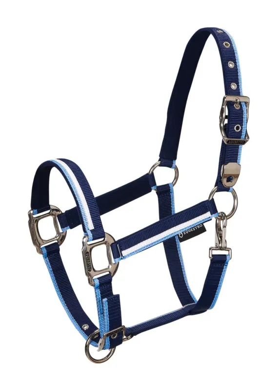 Livraison Express Licol en nylon White Trim Equestro - Cheval - Marine / bleu clair