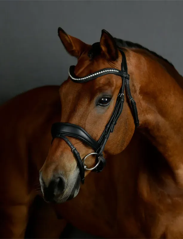 Bridon de dressage Collegiate ComFiTec Opulux rembourr - Cheval - Noir Bon Plan