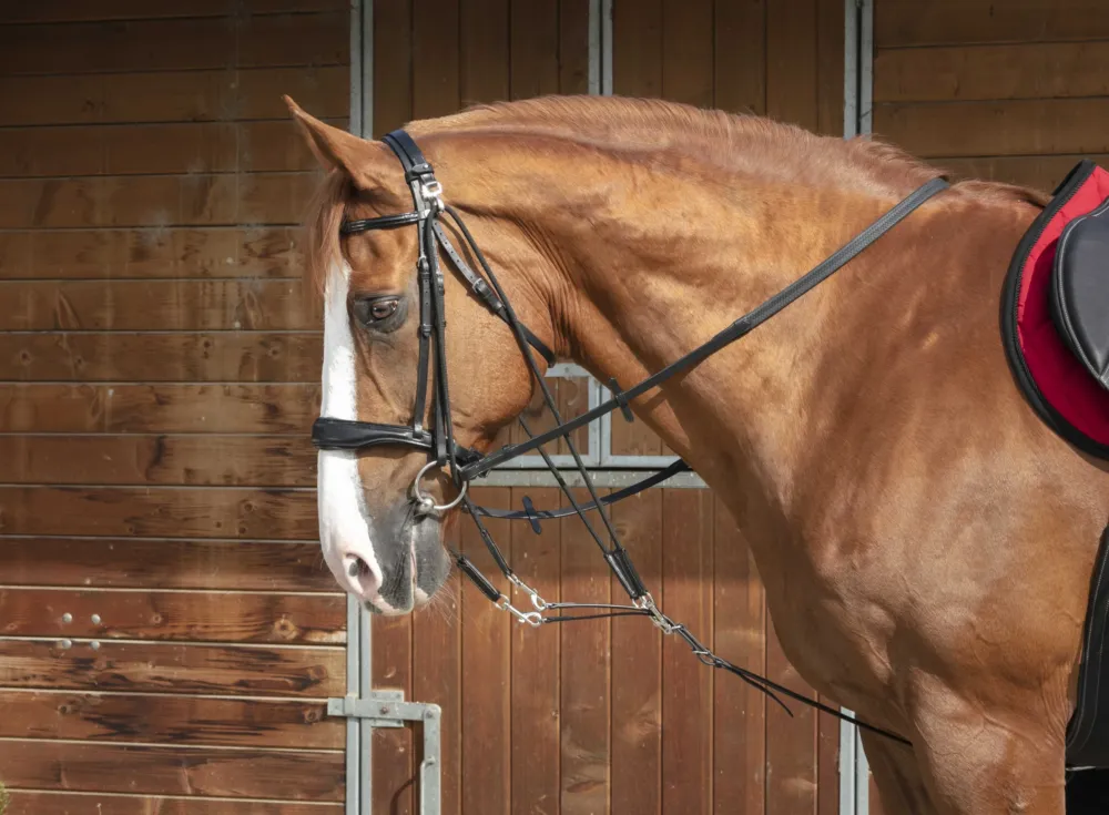 Gogue poulies Norton Pro - Cheval - Noir Produit De Marque