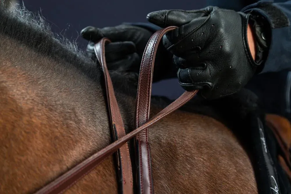 Quantit Limite Rnes Hunter 1/2 New English Collection by Dy'on - Grand cheval - Brun