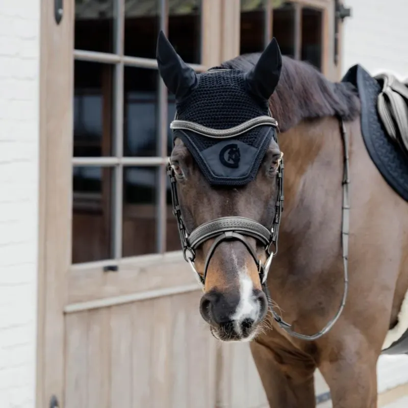 Prix Promo Muserolle medium tresse avec pull-back Dy'on - Cheval - Noir