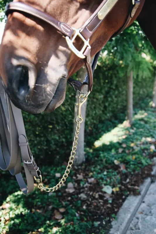Chaine pour talon Kentucky - 60 cm - Or Offre Spciale
