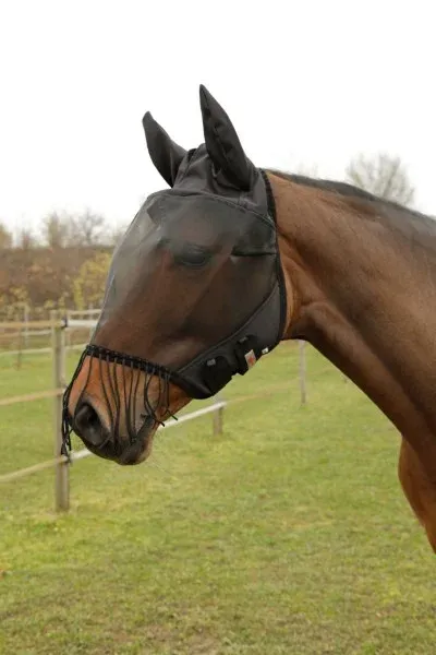 Masque de protection contre les insectes - Franges - Cheval - Noir Nouvel Arrivage