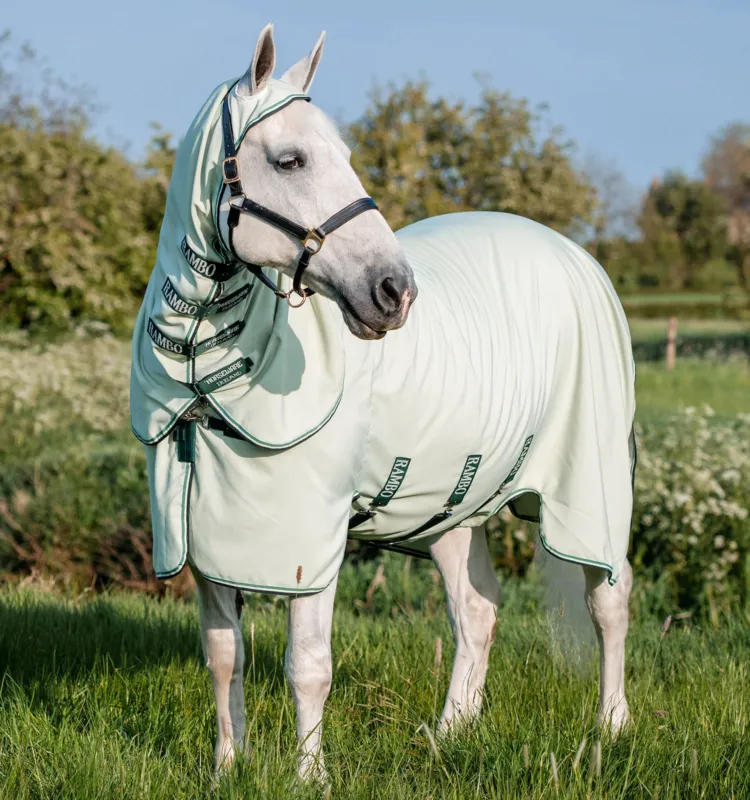 Populaire Couverture intgrale Horseware Rambo Hoody XL 0g - 125 cm - Vert / sauge